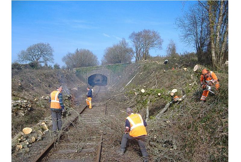 Nearing complete clearance of the west side of Lydcott BridgeCutting, about half a mile west of Sampford Courtenay.   L to r Andy Turner, Andy Webb, Peter Wills, Alan Cocker.brPhotographer Sue BaxterbrDate taken 05032013
