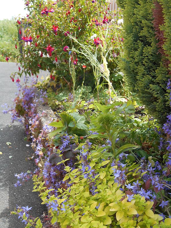 Garden in a ballast box on Platform 2